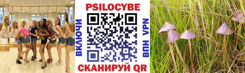 Псилоцибиновые грибы мухоморы  Енисейск 